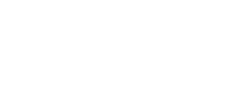 펄어비스 logo