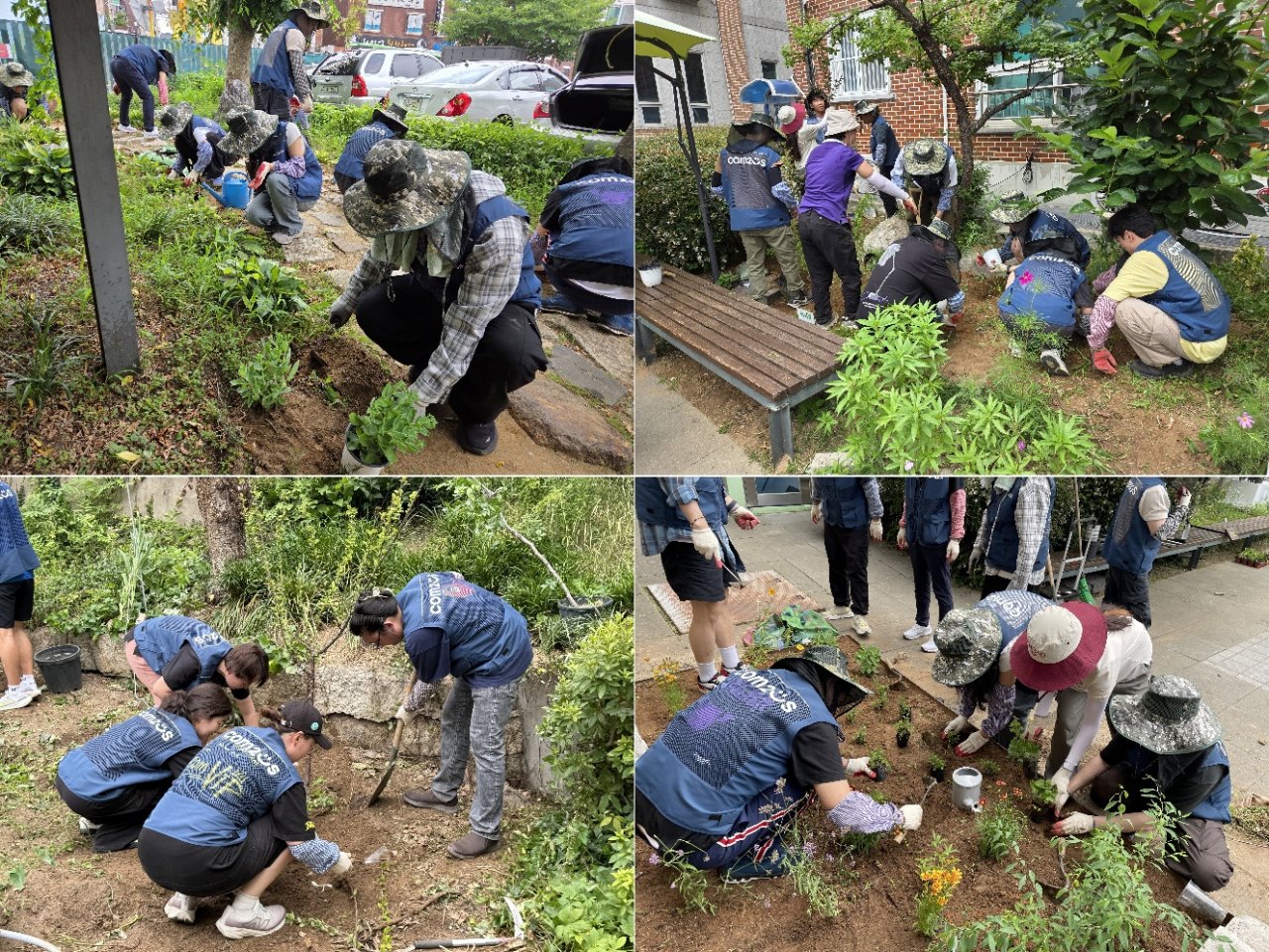 컴투스, 금천구 아동양육시설 환경 개선 위한 식재 봉사활동 진행